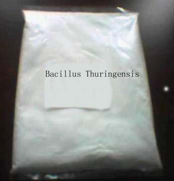 Offer Bacillus Thuringensis