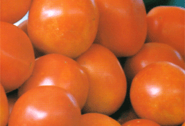 Tomatoes