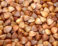 Roast Buckwheat-Kernel