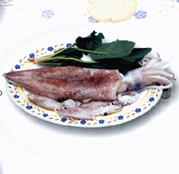 Offer Squid,Shrimp