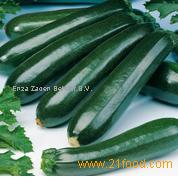 Squash