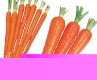 carrot