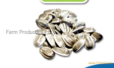 confectionary sunflower seeds