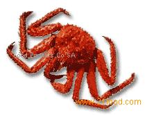 Kamchatka King crab