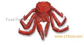 Antarctic crab