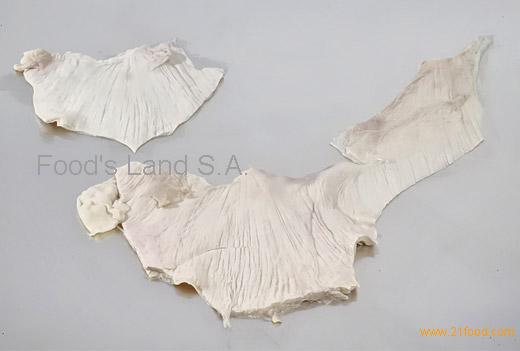 DIAPHRAGM MEMBRANE