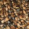 Sell Buckwheat