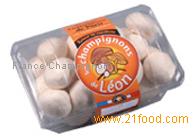 Fresh Button mushrooms