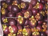 Mangosteen