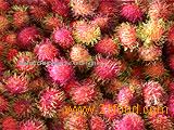 Rambutan