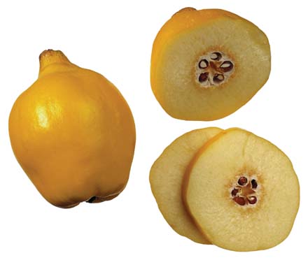 Quinces