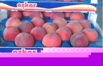 Peaches