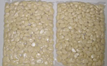 Pure White Garlic