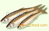 Anchovies