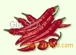 Gia HotChilli Puree