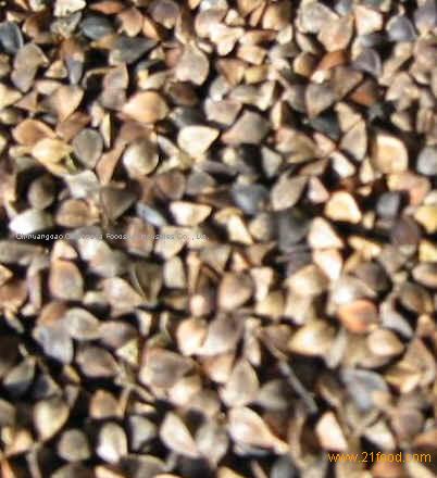 buckwheat