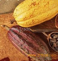 Deodorized cocoa butter