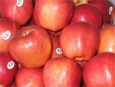 apple