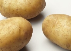 Potato