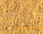 Curry Powder