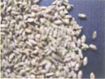 Functional Red Yeast Rice