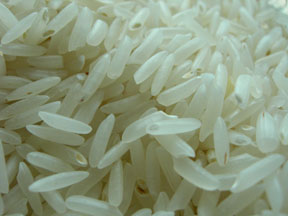 PAKISTANI RICE OFFER