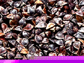 Buckwheat