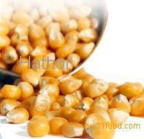 Bulk popcorn