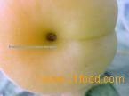 apricot juice
