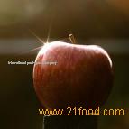 apple puree
