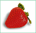 Elsanta strawberries