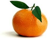 Clementines and Mandarins