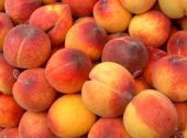 Peaches