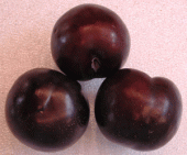 Plums