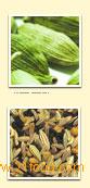 Fish Curry Powder