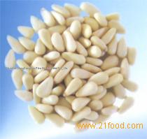 pine nut kernel