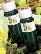 plum wine
