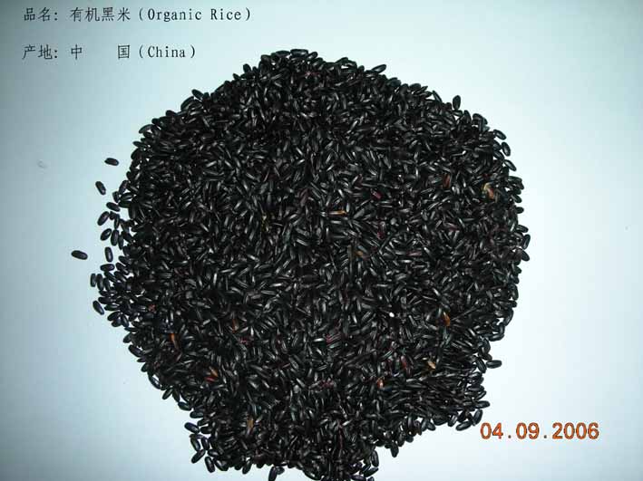 Organic Black Rice