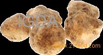 White Truffles