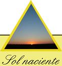 Sunflower Oil