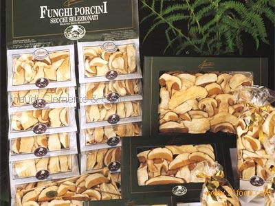 Dried Boletus mushrooms