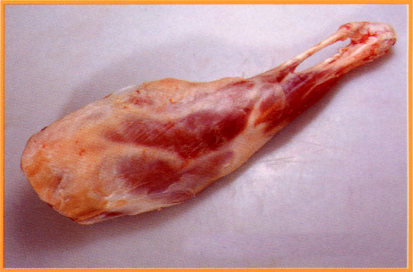 Halal lamb hind leg
