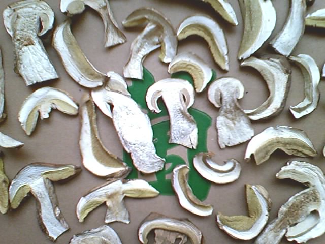 Offer Boletus edulis