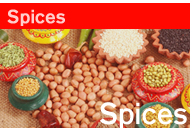 Sell Spices
