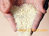 casein