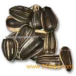 Sunflower seeds