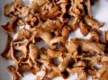 Sell canned chantarelles