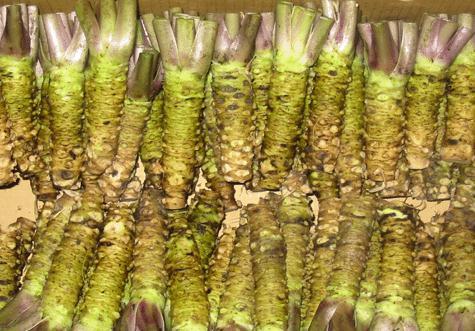 Wasabi Fresh Frozen