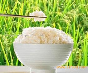 Thai Pathumthani Fragrant Rice