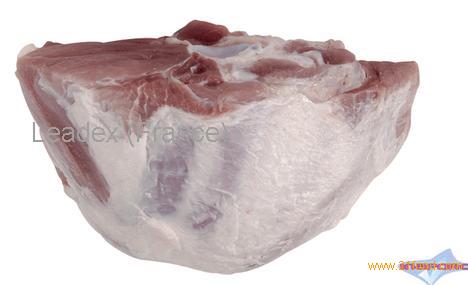 Shoulder blade bone in